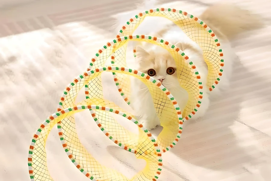 Collapsible Cat Tunnel with Toys